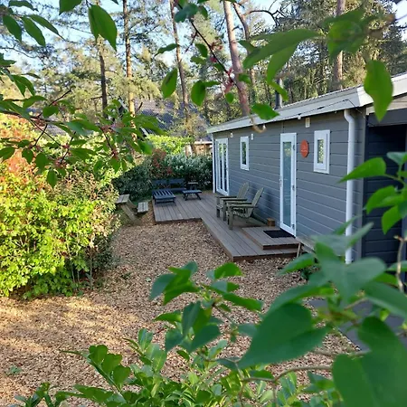 Romantisch Boshuisje Met Privé Buitenbad