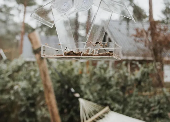 Ultiem Genieten In Boshuisje Løua *